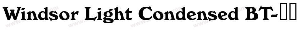 Windsor Light Condensed BT字体转换